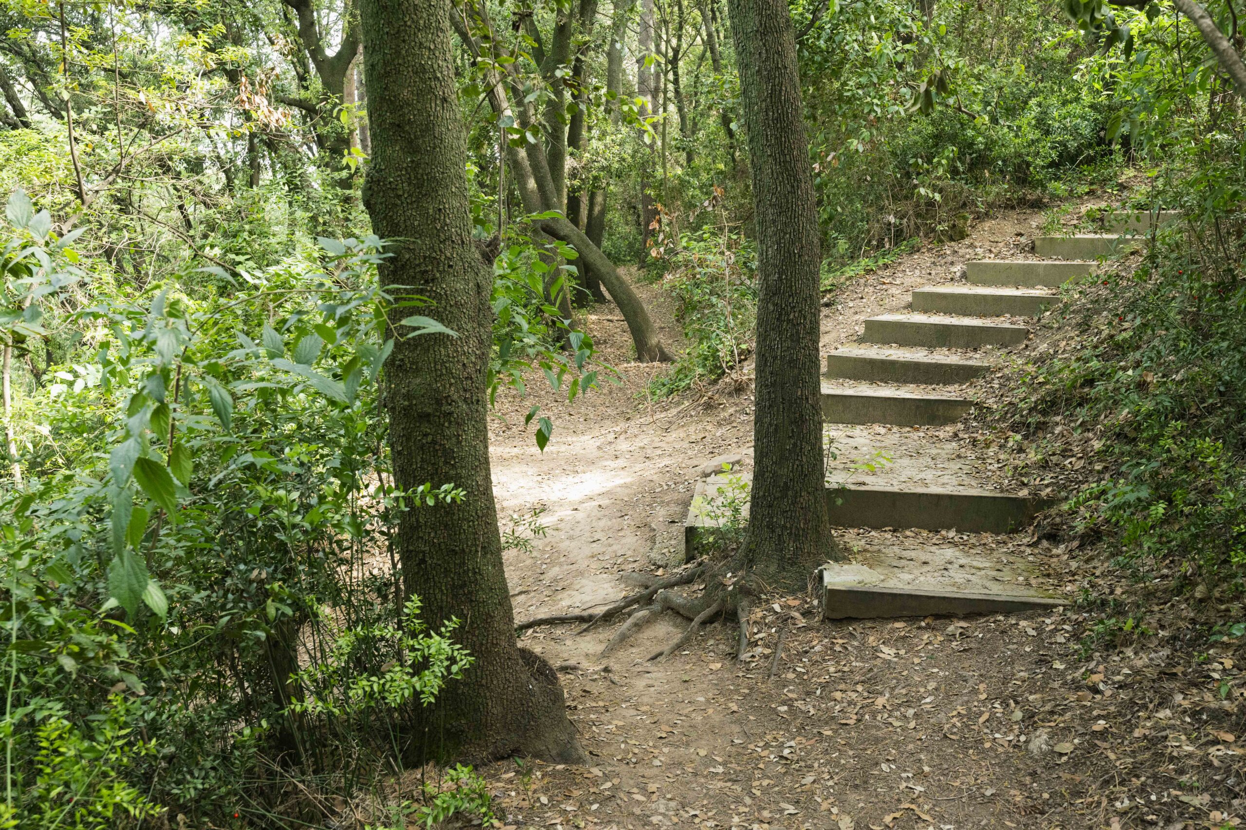 Parc du domaine de méric montpellier