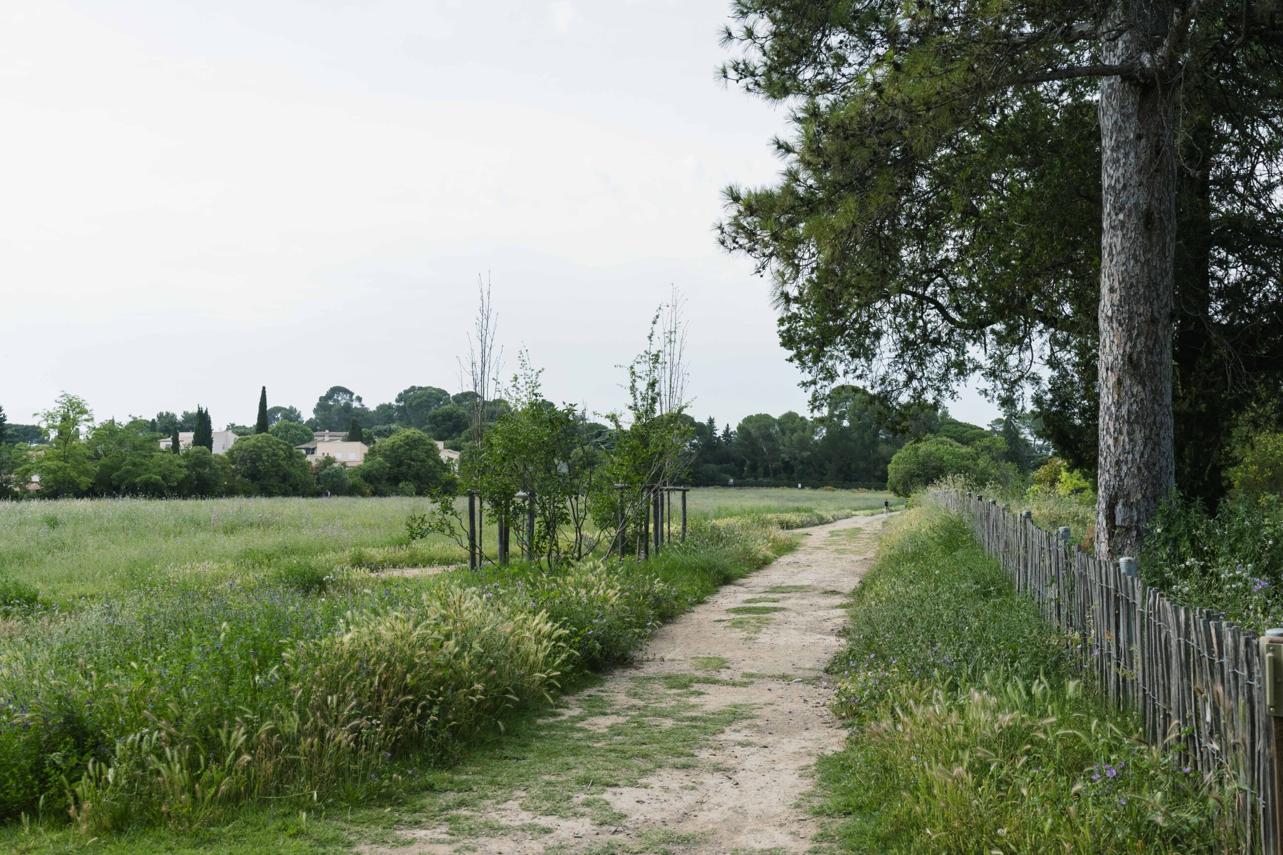 Activité runco au parc du domaine de méric à Montpellier