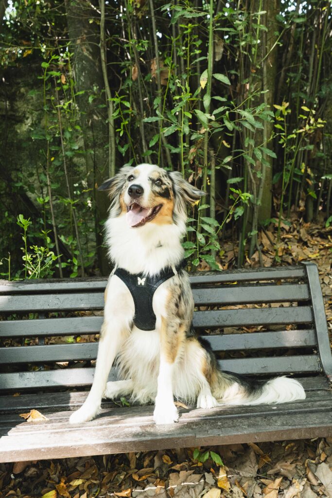 Yumi qui pose pendant une activité runco à Montpellier